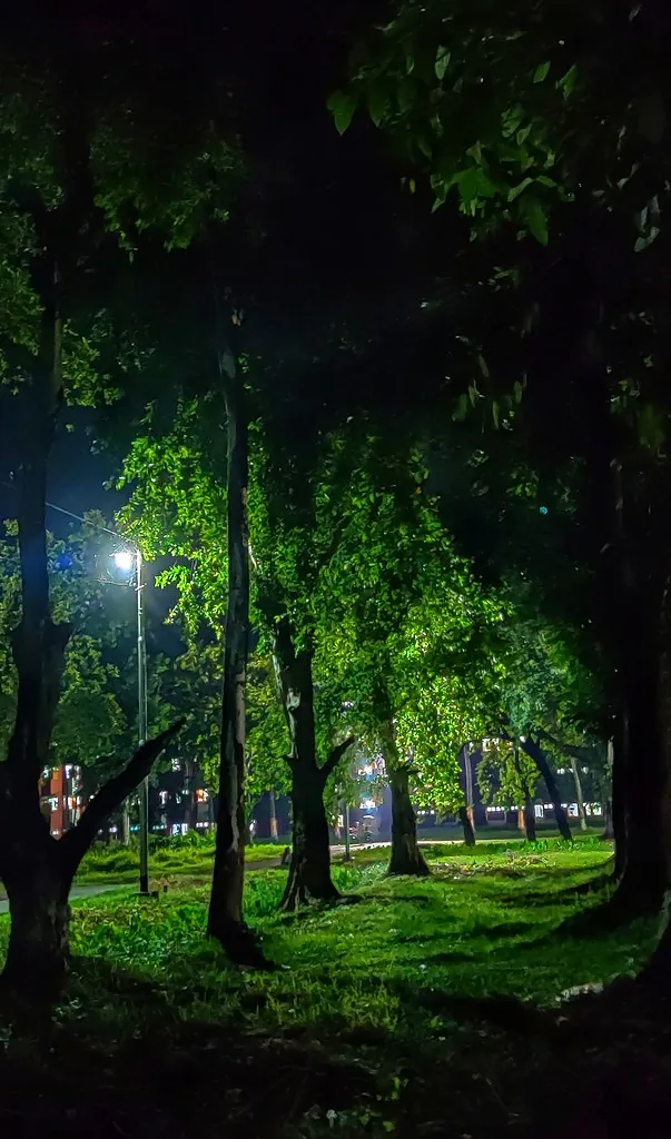Nightscape at Rajshahi University photographed by Arafat Rahaman